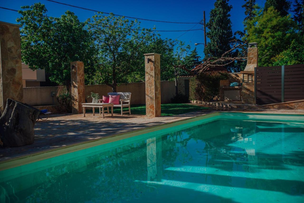 Pool And Sea View Apartments Agia Marina  Экстерьер фото